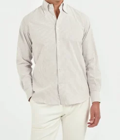 Chemise à col boutonné prune rayée en coton brossé - Made in Italy